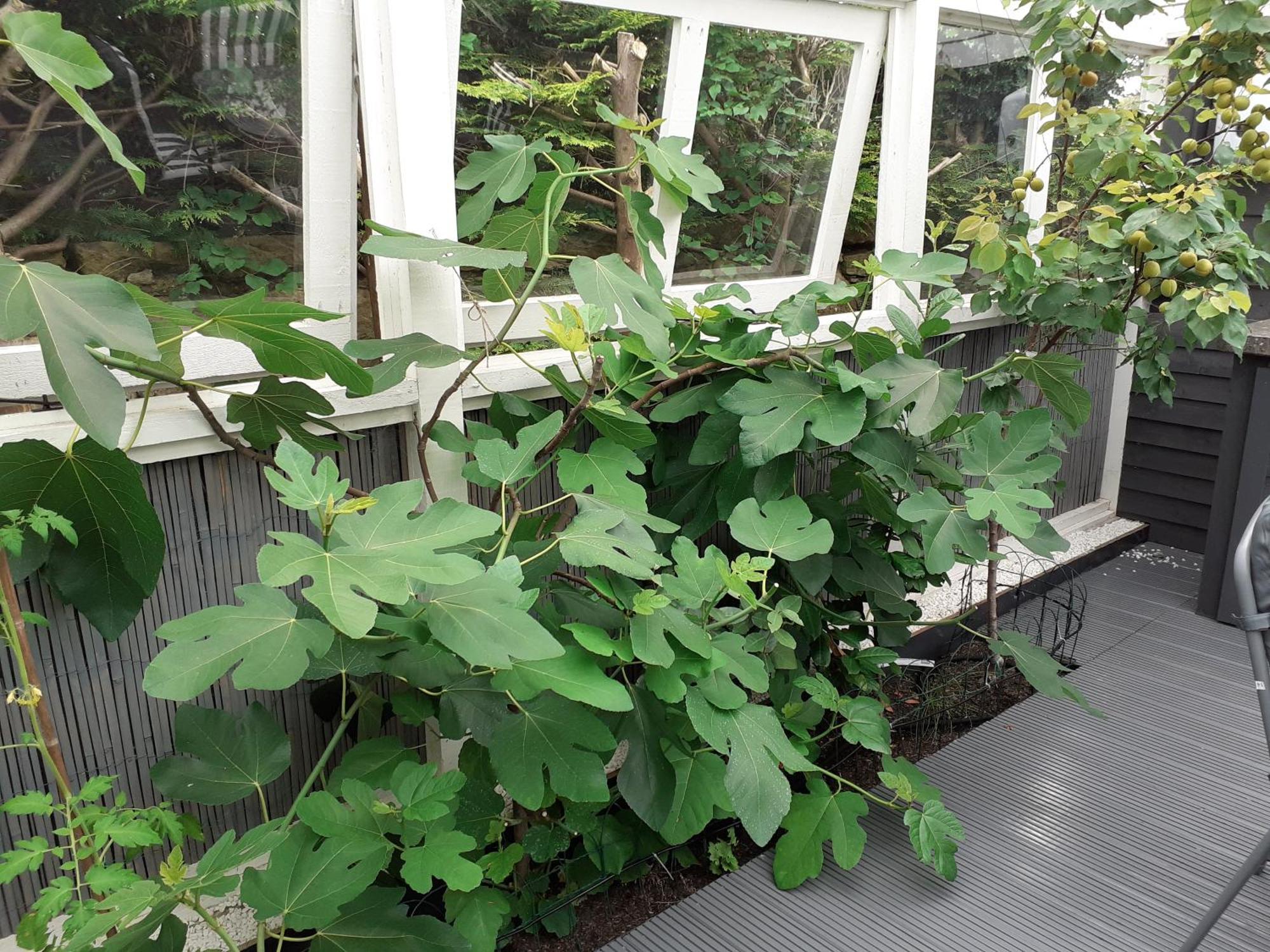 The Treehouse By Airlie Apartment แนร์น ภายนอก รูปภาพ