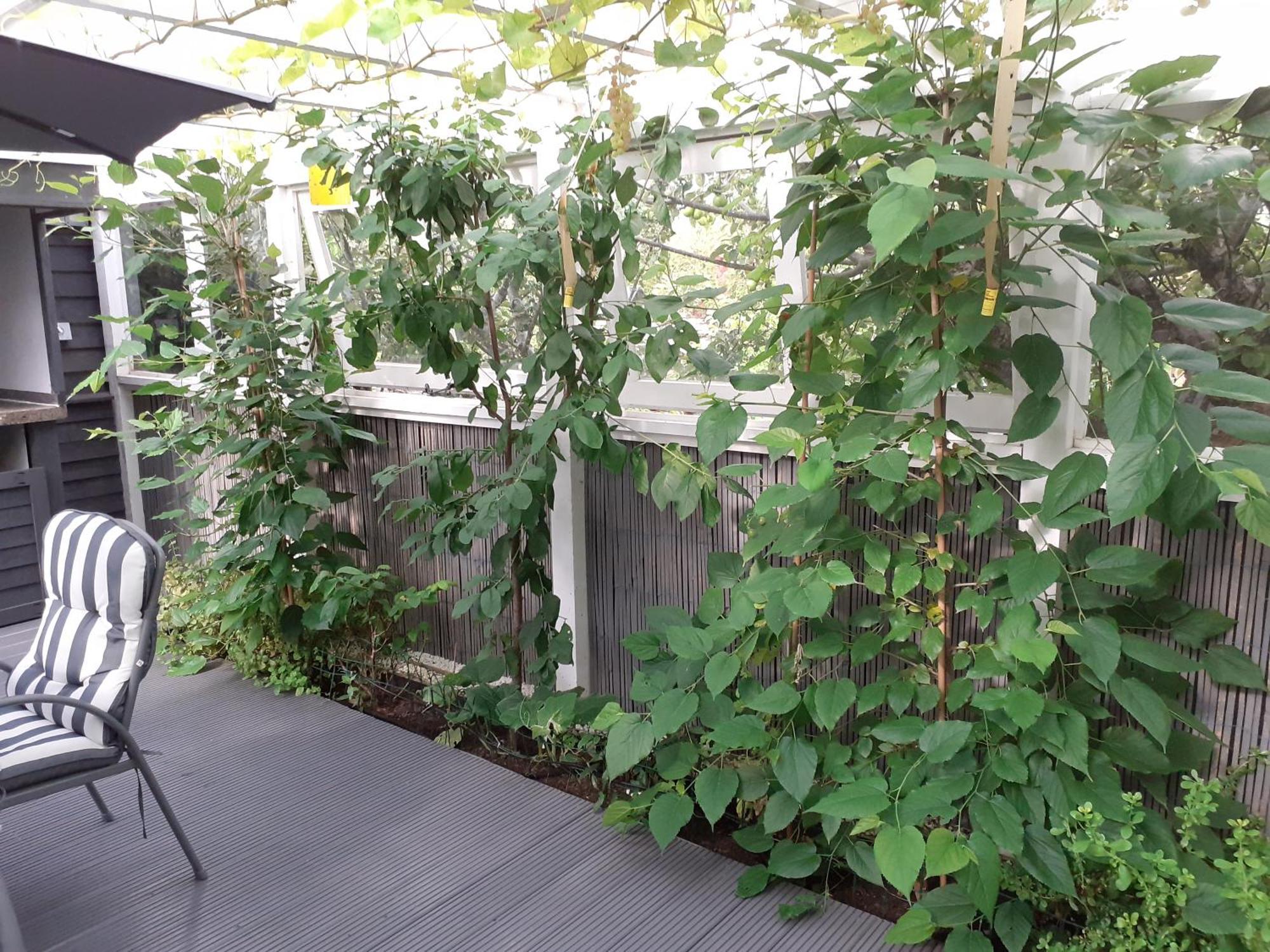 The Treehouse By Airlie Apartment แนร์น ภายนอก รูปภาพ